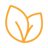feature-icon